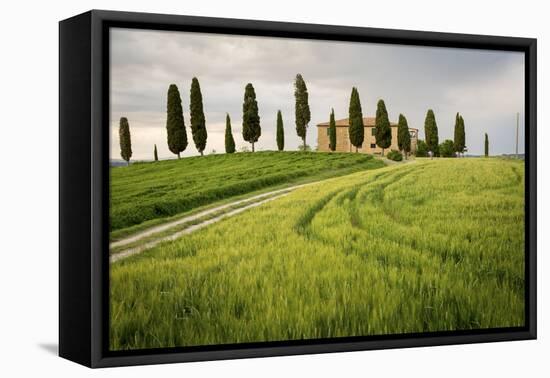 Val D'Orcia, Tuscany, Italy. a Lonely Farmhouse with Cypress Trees Standing in Line in Foreground.-Francesco Riccardo Iacomino-Framed Premier Image Canvas