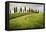 Val D'Orcia, Tuscany, Italy. a Lonely Farmhouse with Cypress Trees Standing in Line in Foreground.-Francesco Riccardo Iacomino-Framed Premier Image Canvas