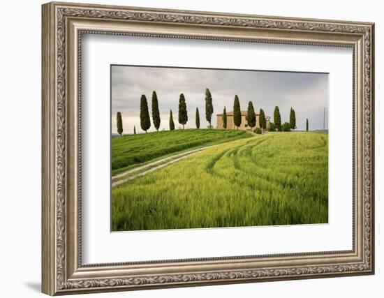 Val D'Orcia, Tuscany, Italy. a Lonely Farmhouse with Cypress Trees Standing in Line in Foreground.-Francesco Riccardo Iacomino-Framed Photographic Print