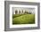 Val D'Orcia, Tuscany, Italy. a Lonely Farmhouse with Cypress Trees Standing in Line in Foreground.-Francesco Riccardo Iacomino-Framed Photographic Print