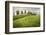 Val D'Orcia, Tuscany, Italy. a Lonely Farmhouse with Cypress Trees Standing in Line in Foreground.-Francesco Riccardo Iacomino-Framed Photographic Print