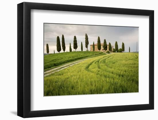 Val D'Orcia, Tuscany, Italy. a Lonely Farmhouse with Cypress Trees Standing in Line in Foreground.-Francesco Riccardo Iacomino-Framed Photographic Print