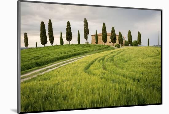 Val D'Orcia, Tuscany, Italy. a Lonely Farmhouse with Cypress Trees Standing in Line in Foreground.-Francesco Riccardo Iacomino-Mounted Photographic Print