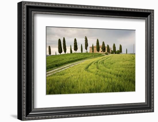Val D'Orcia, Tuscany, Italy. a Lonely Farmhouse with Cypress Trees Standing in Line in Foreground.-Francesco Riccardo Iacomino-Framed Photographic Print