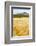 Val D'Orcia, Tuscany, Italy. Yellow Meadow and Green Hills-Francesco Riccardo Iacomino-Framed Photographic Print