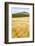 Val D'Orcia, Tuscany, Italy. Yellow Meadow and Green Hills-Francesco Riccardo Iacomino-Framed Photographic Print