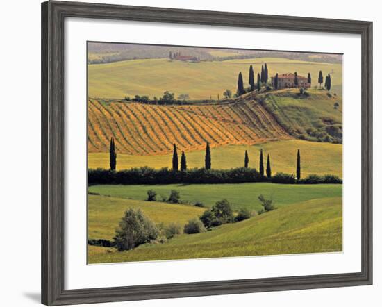 Val d'Orcia, Tuscany, Italy-Walter Bibikow-Framed Photographic Print