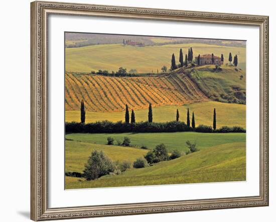 Val d'Orcia, Tuscany, Italy-Walter Bibikow-Framed Photographic Print