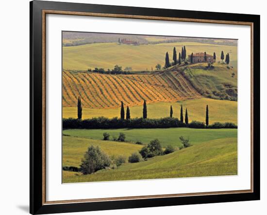 Val d'Orcia, Tuscany, Italy-Walter Bibikow-Framed Photographic Print