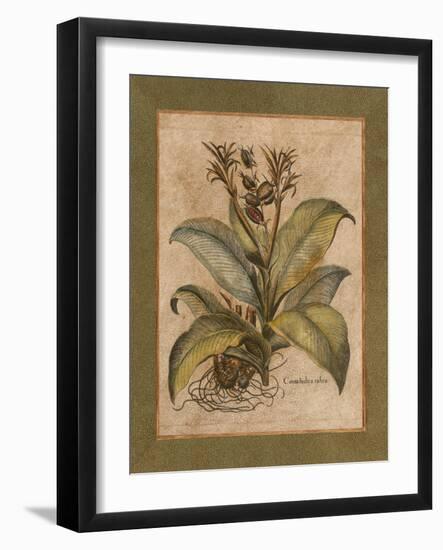 Valencia I-Zachary Alexander-Framed Art Print