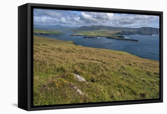Valentia Island, County Kerry, Munster, Republic of Ireland, Europe-Carsten Krieger-Framed Premier Image Canvas