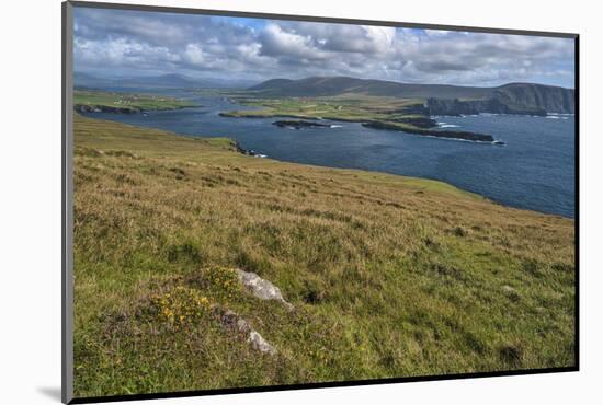 Valentia Island, County Kerry, Munster, Republic of Ireland, Europe-Carsten Krieger-Mounted Photographic Print