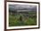 Valentia Island, County Kerry, Munster, Republic of Ireland, Europe-Carsten Krieger-Framed Photographic Print