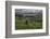 Valentia Island, County Kerry, Munster, Republic of Ireland, Europe-Carsten Krieger-Framed Photographic Print