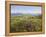 Valentia Island, Ring of Kerry, County Kerry, Munster, Republic of Ireland, Europe-null-Framed Premier Image Canvas