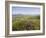 Valentia Island, Ring of Kerry, County Kerry, Munster, Republic of Ireland, Europe-null-Framed Photographic Print