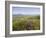 Valentia Island, Ring of Kerry, County Kerry, Munster, Republic of Ireland, Europe-null-Framed Photographic Print