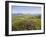 Valentia Island, Ring of Kerry, County Kerry, Munster, Republic of Ireland, Europe-null-Framed Photographic Print