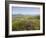 Valentia Island, Ring of Kerry, County Kerry, Munster, Republic of Ireland, Europe-null-Framed Photographic Print