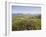 Valentia Island, Ring of Kerry, County Kerry, Munster, Republic of Ireland, Europe-null-Framed Photographic Print