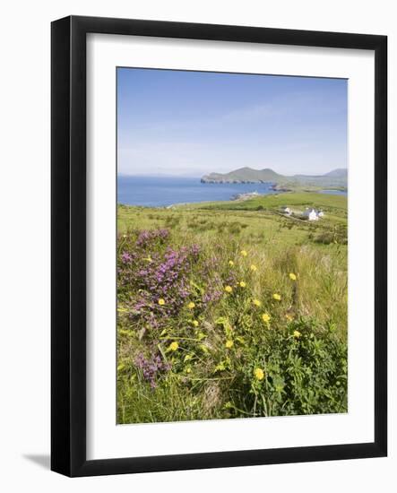 Valentia Island, Ring of Kerry, County Kerry, Munster, Republic of Ireland, Europe-null-Framed Photographic Print