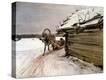 Stretched Canvas Print
