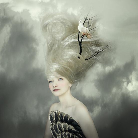 Photographic Print, , large