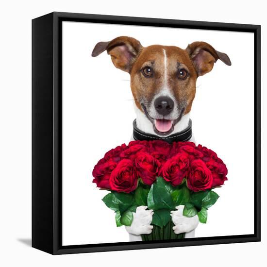 Valentine Dog-Javier Brosch-Framed Premier Image Canvas