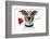 Valentine Dog-Javier Brosch-Framed Photographic Print