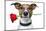 Valentine Dog-Javier Brosch-Mounted Photographic Print