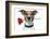 Valentine Dog-Javier Brosch-Framed Photographic Print