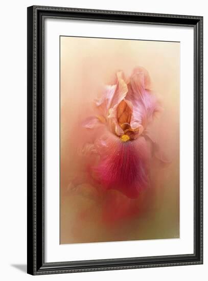 Valentine Iris-Jai Johnson-Framed Giclee Print