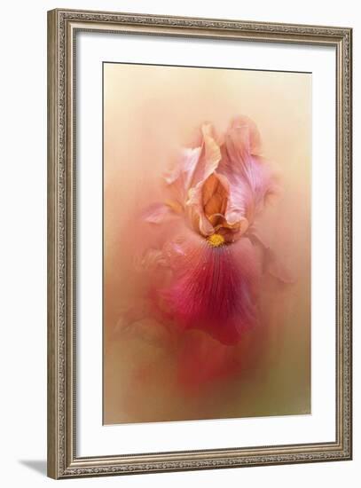 Valentine Iris-Jai Johnson-Framed Giclee Print