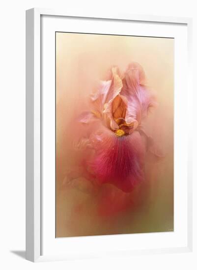 Valentine Iris-Jai Johnson-Framed Giclee Print