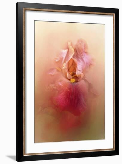 Valentine Iris-Jai Johnson-Framed Giclee Print