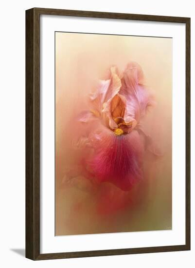 Valentine Iris-Jai Johnson-Framed Giclee Print