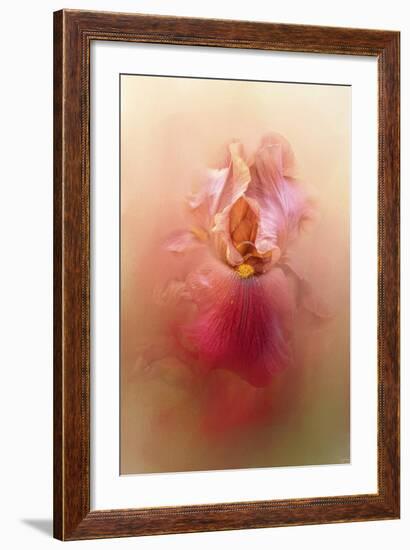 Valentine Iris-Jai Johnson-Framed Giclee Print