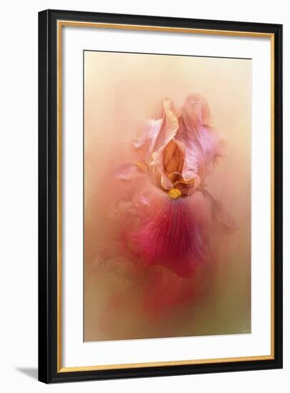 Valentine Iris-Jai Johnson-Framed Giclee Print