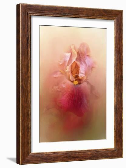 Valentine Iris-Jai Johnson-Framed Giclee Print