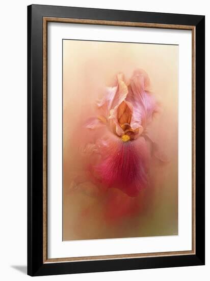 Valentine Iris-Jai Johnson-Framed Giclee Print