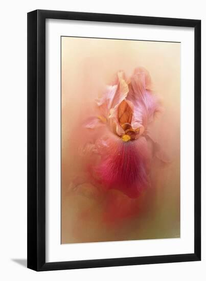 Valentine Iris-Jai Johnson-Framed Giclee Print