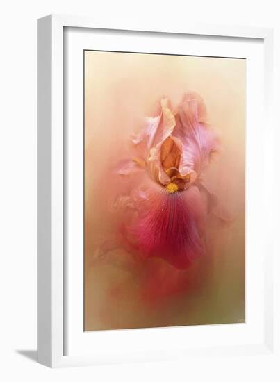 Valentine Iris-Jai Johnson-Framed Giclee Print