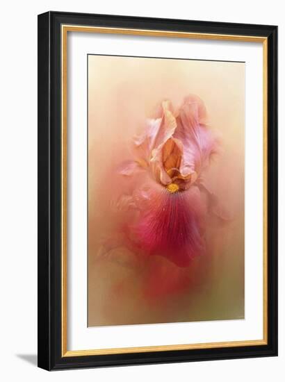 Valentine Iris-Jai Johnson-Framed Giclee Print