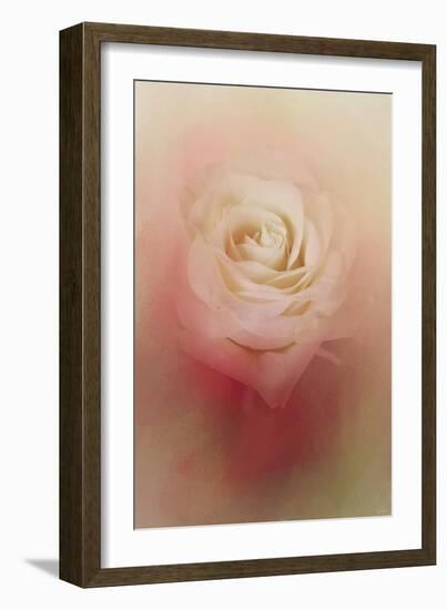 Valentine Rose-Jai Johnson-Framed Giclee Print