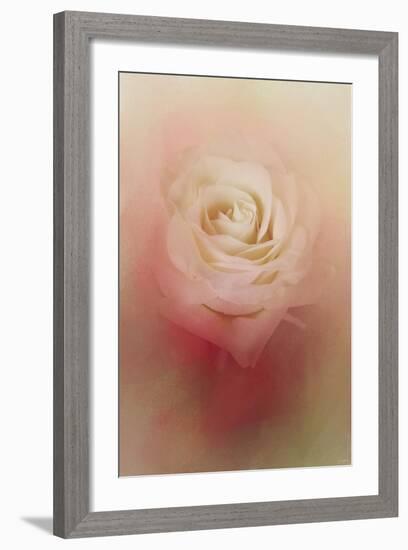 Valentine Rose-Jai Johnson-Framed Giclee Print