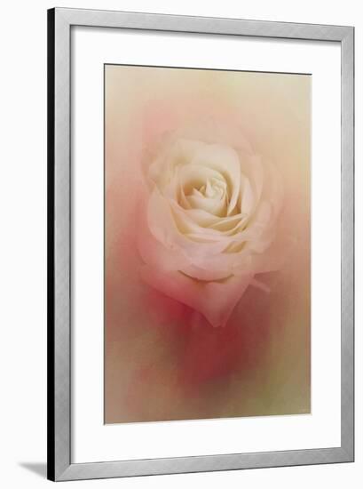 Valentine Rose-Jai Johnson-Framed Giclee Print