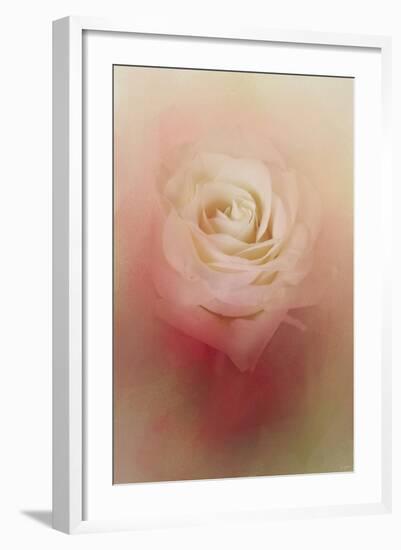 Valentine Rose-Jai Johnson-Framed Giclee Print