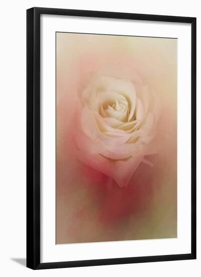 Valentine Rose-Jai Johnson-Framed Giclee Print