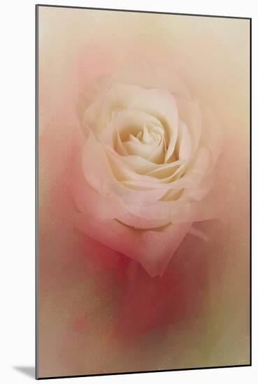 Valentine Rose-Jai Johnson-Mounted Giclee Print