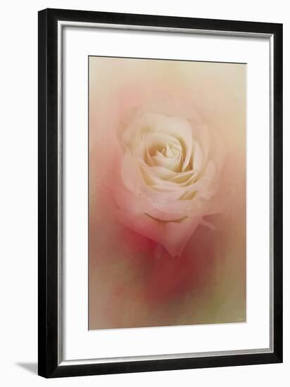 Valentine Rose-Jai Johnson-Framed Giclee Print